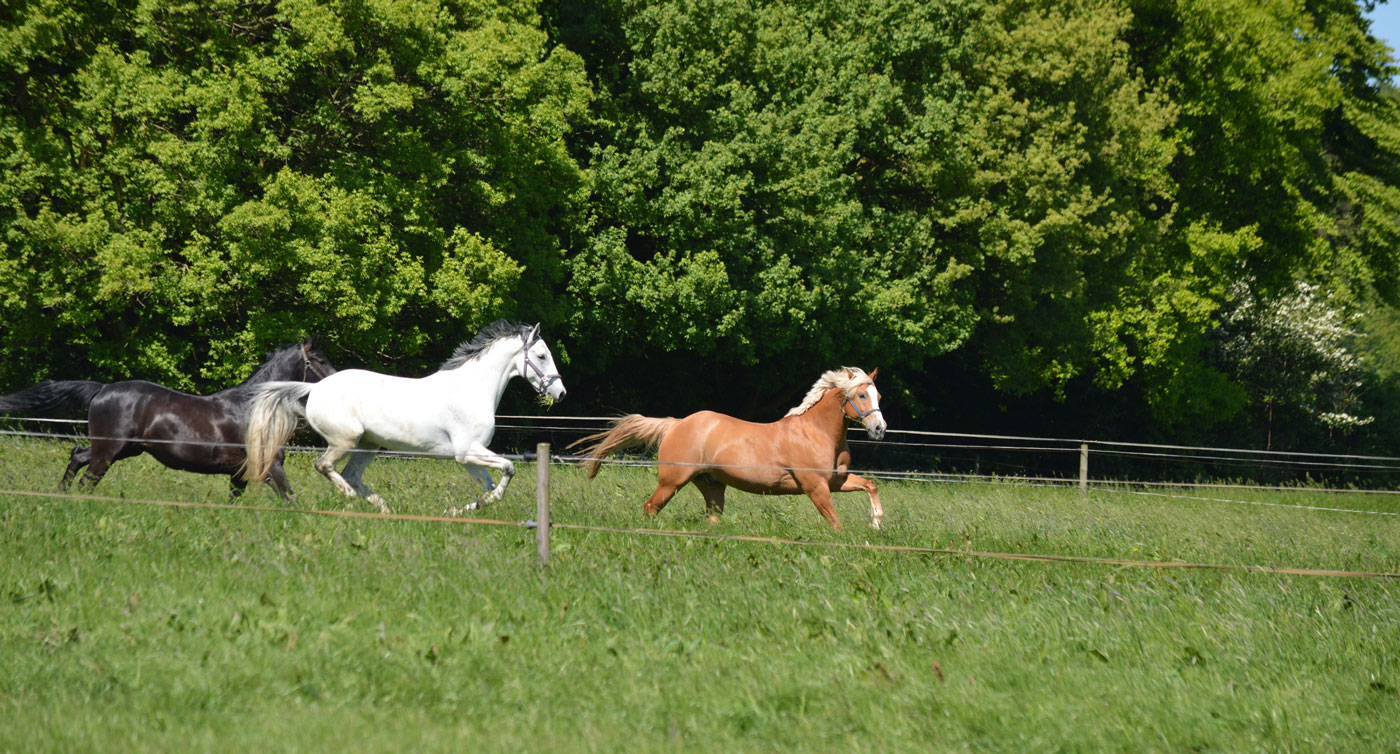 Konstruktion am Bildschirm